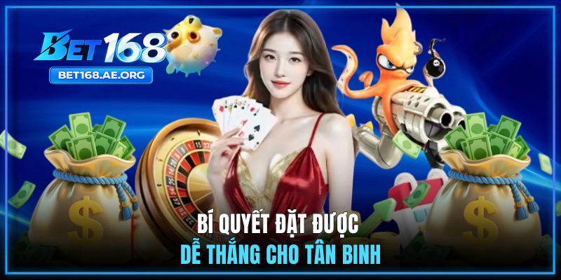 Bí quyết đặt được dễ thắng cho tân binh