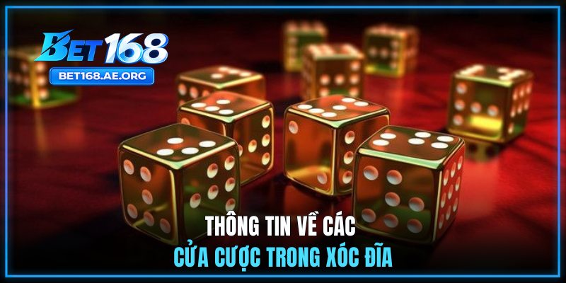 Tìm hiểu về các cửa cược trong xóc đĩa