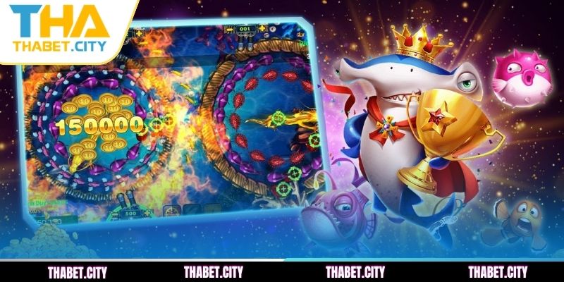 Áp dụng chiến thuật quản lý vốn thông minh khi săn cá