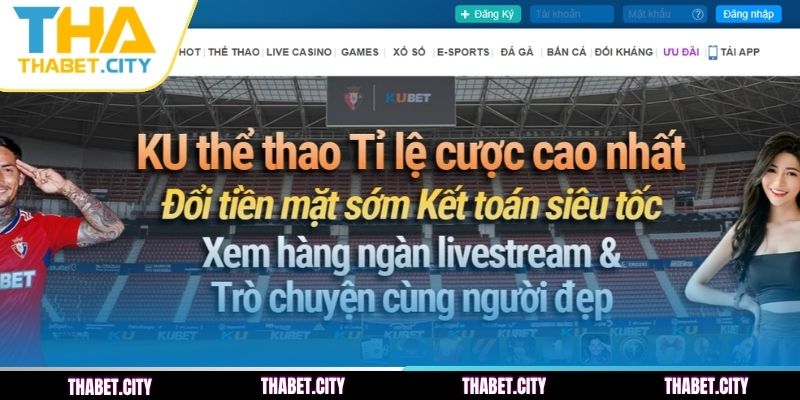 Giải đáp các vấn đề về đăng nhập THABET