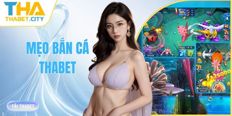 meo ban ca thabet thang lon thumb